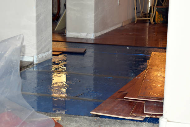 Professional Burst Pipe Cleanup technician working in Havelock, NC
